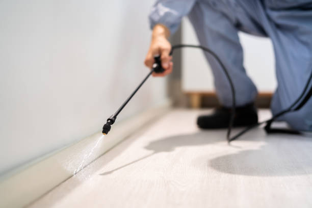 Licensed Termite Control service in University Park, NM - Show Me Pest Control