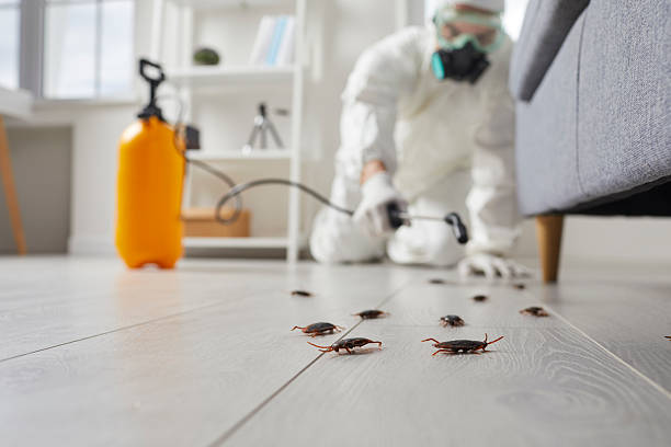 Commercial Kitchen Cockroach Control in University Park